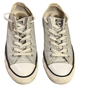 Converse All Star Unisex Silver Sparkle Sneakers